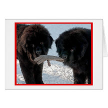 Season's Best....Blank Greeting Card