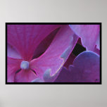 seasons:  flora series [winter] print