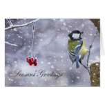 season's greeting card with winter great tit - sno