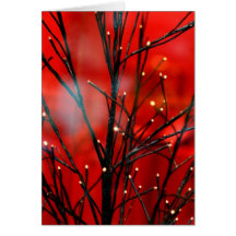 Season's Greeting Cards