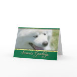 Season's greetings American Eskimo card