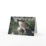 SEASONS GREETINGS cards