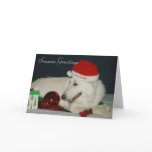 Seasons Greetings card