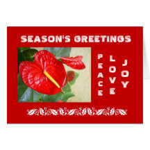 Season's Greetings Christmas Card