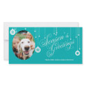 Season's Greetings Custom Photo Cards photo cards