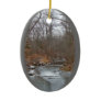 Season's Greetings Deep Creek in Ice Christmas Tree Ornaments