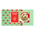 Season's Greetings From the Dog Photo Greeting Card