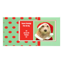 Season's Greetings From the Dog Photo Greeting Card