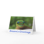 Season's Greetings Holiday Wildlife Cards