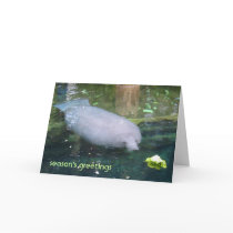season's greetings - lettuce greeting cards