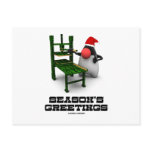 Seasons Greetings (Open Source Duke Computers) postcards