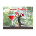 Season's Greetings Squirrel Post Card