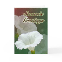 Season's Greetings - White Bindweed Greeting Card