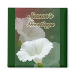 Season's Greetings - White Bindweed magnets