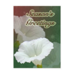 Season's Greetings - White Bindweed postcards