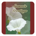Season's Greetings - White Bindweed stickers