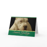 Season's greetings White Pitbull dog card