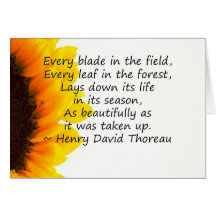 Seasons of Life Greeting Card