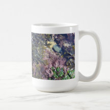 Seaweeds in a pool mug