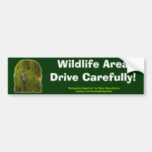 SEBASTIAN SQUIRREL Safety Bumper Sticker