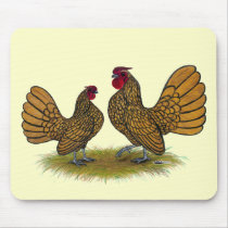 Sebright Bantams:  Golden Mousepads