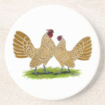 Sebrights Buff Laced Drink Coasters