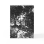 Seclusion Thank You Card