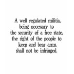 Second Amendment t-shirts