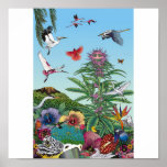 Secret Garden of Healthy Delights posters