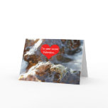 Secret Valentine Toads cards