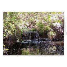 Secret Waterfall Notecard