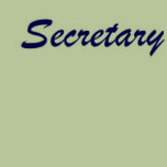 secretary - babydoll tee t-shirts