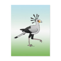 Secretary Bird Postcard