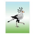 Secretary Bird Postcard