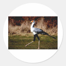 Secretary Bird Stickers