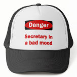 Secretary Hat