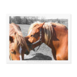 Secrets Post Card