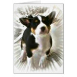 See me Basenji card