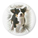 See me basenji magnet