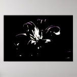 See My Curls posters