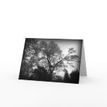 See My Tree Greeting Card