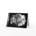 See My Tree Greeting Card