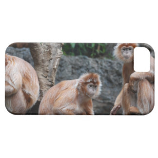 Hear No Evil Monkeys iPhone Cases | Case Designs for the iPhone 5, 4