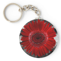 see red