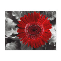 see red
