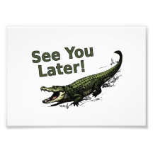 See You Later Alligator Photographic Print