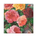 Seed Catalogue 1 Roses Magnet