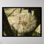 Seed Globe Tree Prints and Posters