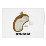 Seed Inside (Biology Humor Food For Thought) Cards