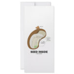 Seed Inside (Biology Humor Food For Thought) Full Color Rack Card